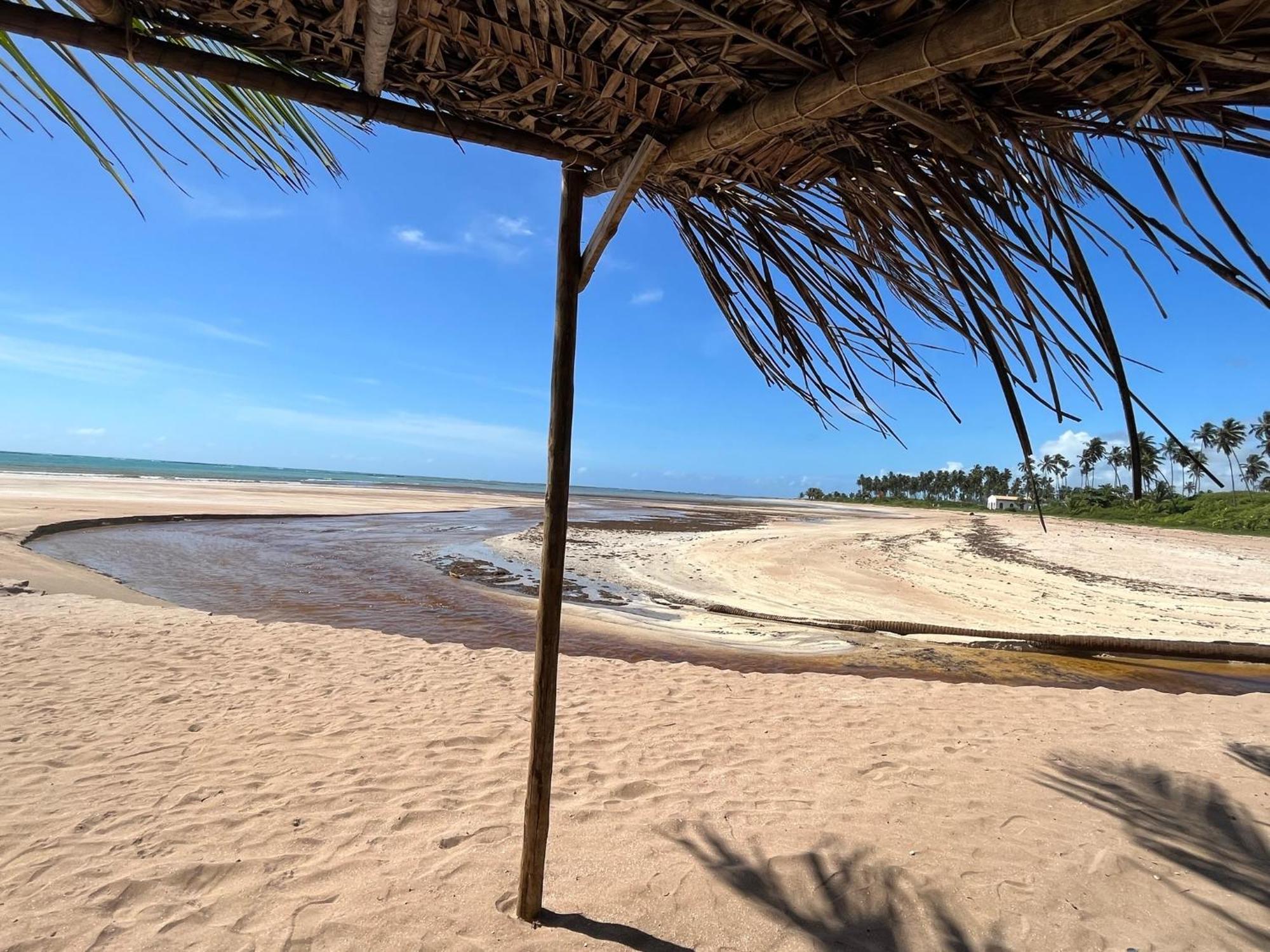 Casa Com Piscina - Milagres - Praia E Capela São Miguel dos Milagres 외부 사진